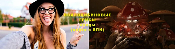 мескалин Алексин