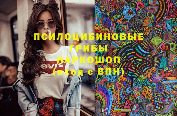 твердый Алексеевка