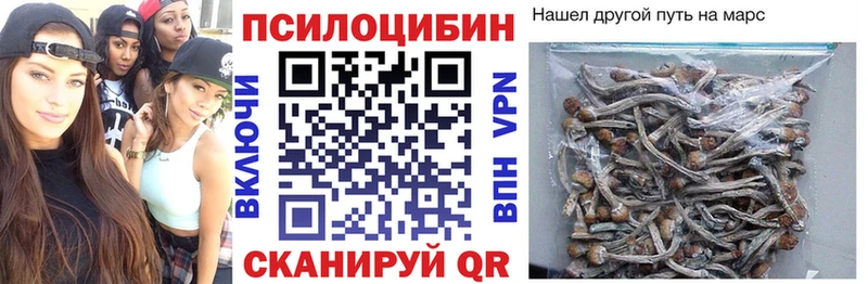 МЕГА сайт  Алексеевка  Псилоцибиновые грибы MAGIC MUSHROOMS  как найти закладки 